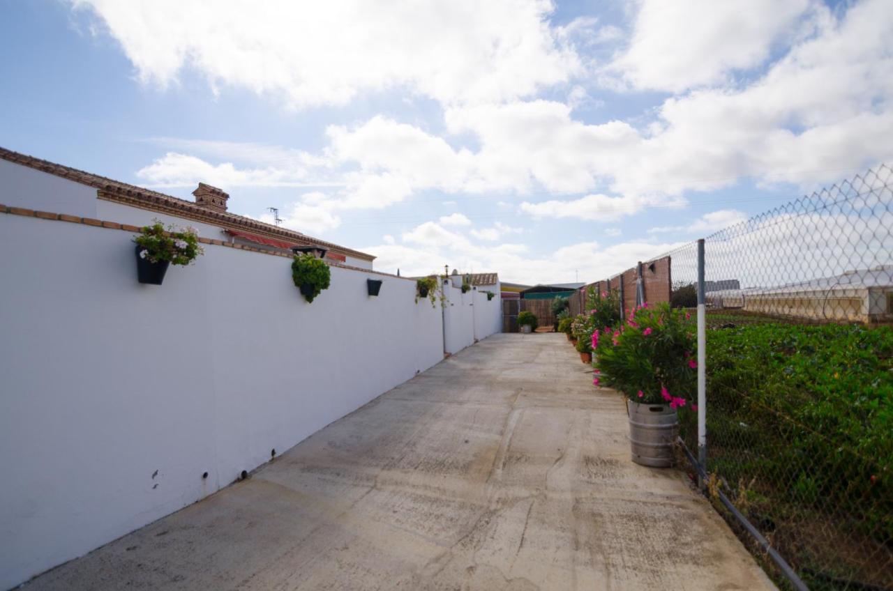 Casa Manoli Villa Conil De La Frontera Exterior photo